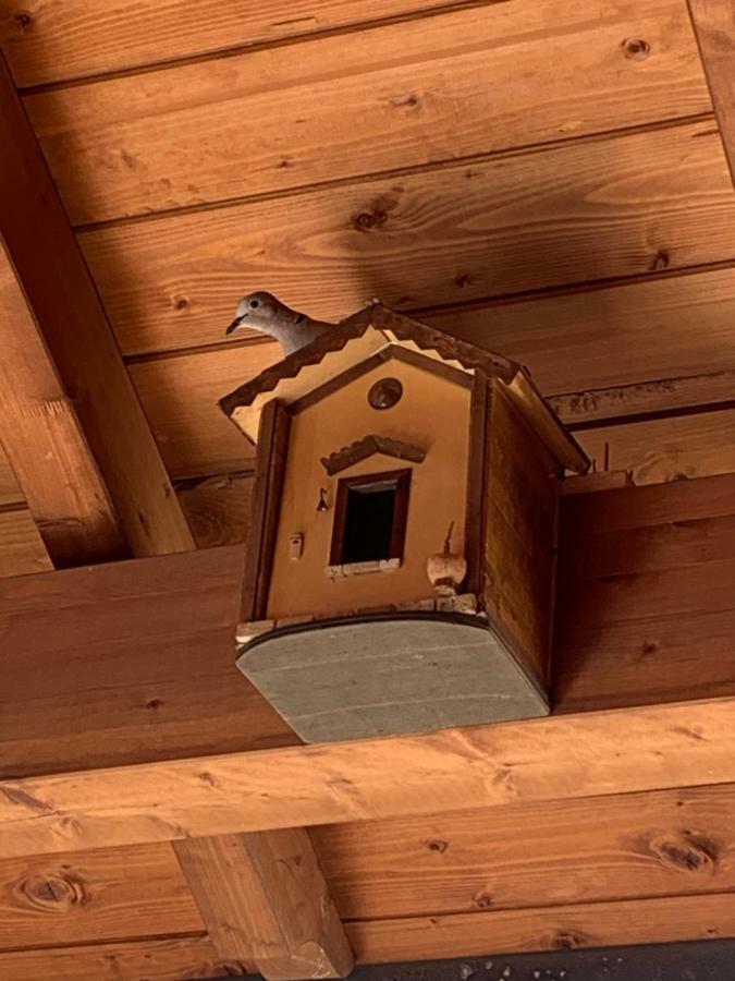 I Quattroventi Panzió Muravera Kültér fotó
